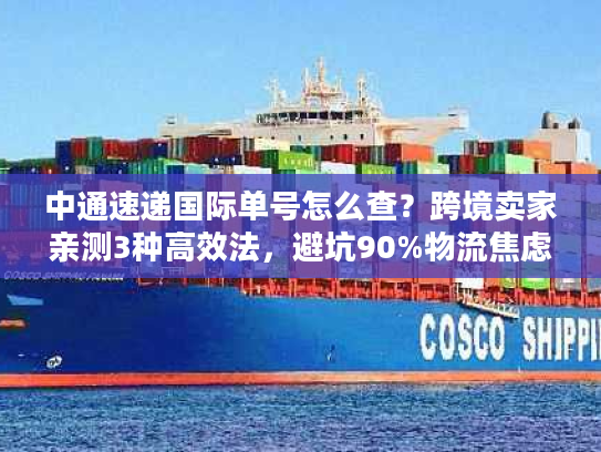 中通速递国际单号怎么查？跨境卖家亲测3种高效法，避坑90%物流焦虑