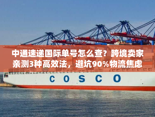 中通速递国际单号怎么查？跨境卖家亲测3种高效法，避坑90%物流焦虑