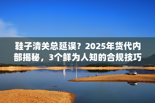 鞋子清关总延误？2025年货代内部揭秘，3个鲜为人知的合规技巧+1个成功案例