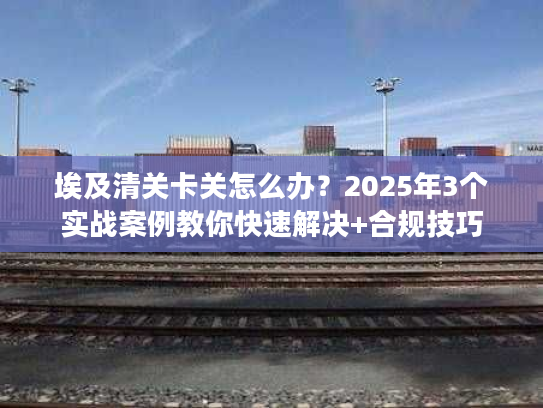 埃及清关卡关怎么办？2025年3个实战案例教你快速解决+合规技巧