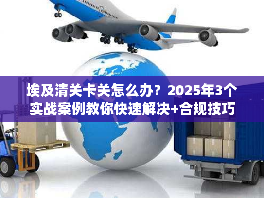 埃及清关卡关怎么办？2025年3个实战案例教你快速解决+合规技巧