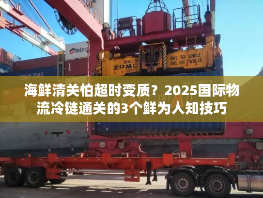 海鲜清关怕超时变质？2025国际物流冷链通关的3个鲜为人知技巧