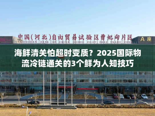 海鲜清关怕超时变质？2025国际物流冷链通关的3个鲜为人知技巧