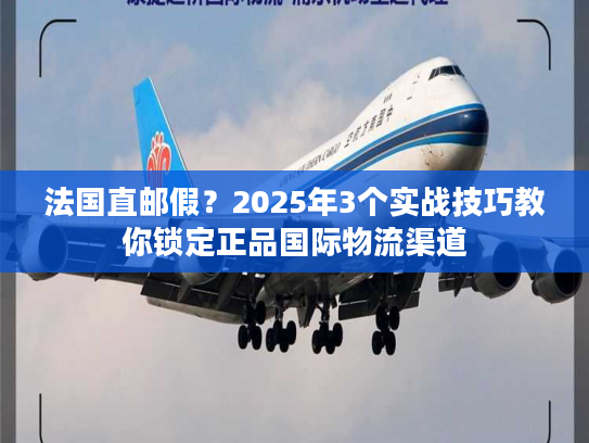 法国直邮假？2025年3个实战技巧教你锁定正品国际物流渠道
