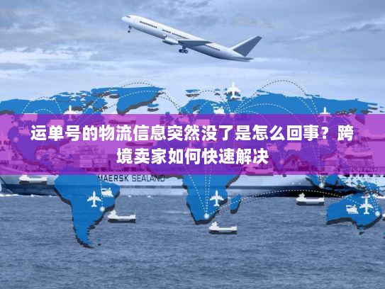 运单号的物流信息突然没了是怎么回事？跨境卖家如何快速解决