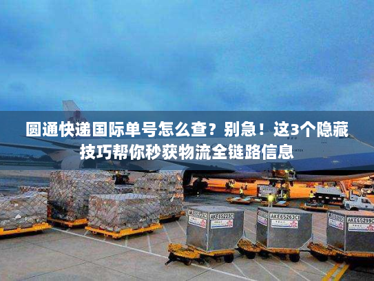 圆通快递国际单号怎么查？别急！这3个隐藏技巧帮你秒获物流全链路信息