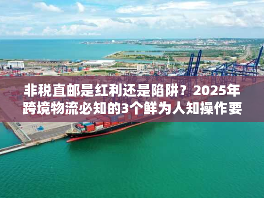 非税直邮是红利还是陷阱？2025年跨境物流必知的3个鲜为人知操作要点