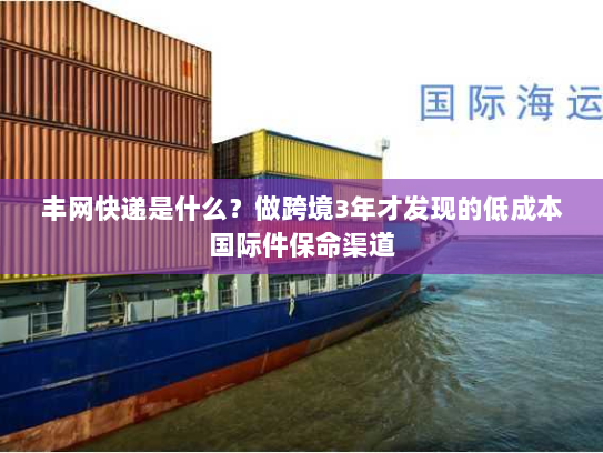 丰网快递是什么？做跨境3年才发现的低成本国际件保命渠道