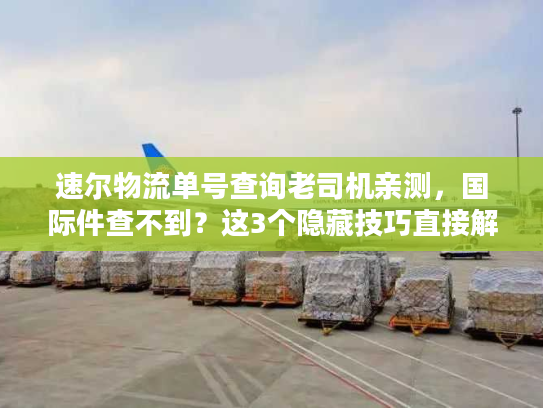 速尔物流单号查询老司机亲测，国际件查不到？这3个隐藏技巧直接解决！