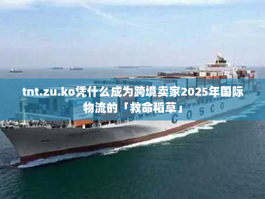 tnt.zu.ko凭什么成为跨境卖家2025年国际物流的「救命稻草」