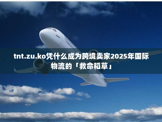 tnt.zu.ko凭什么成为跨境卖家2025年国际物流的「救命稻草」