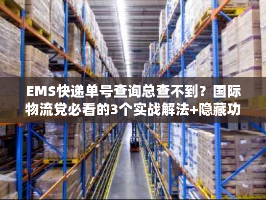 EMS快递单号查询总查不到？国际物流党必看的3个实战解法+隐藏功能