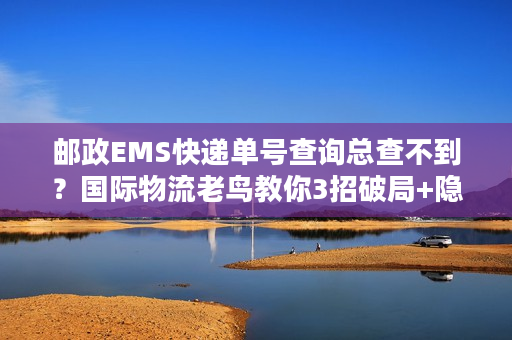 邮政EMS快递单号查询总查不到？国际物流老鸟教你3招破局+隐藏技巧