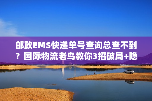 邮政EMS快递单号查询总查不到？国际物流老鸟教你3招破局+隐藏技巧