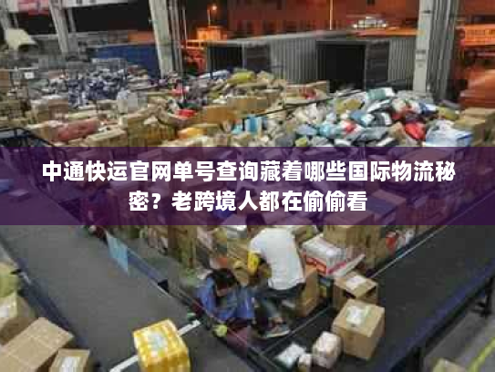 中通快运官网单号查询藏着哪些国际物流秘密？老跨境人都在偷偷看