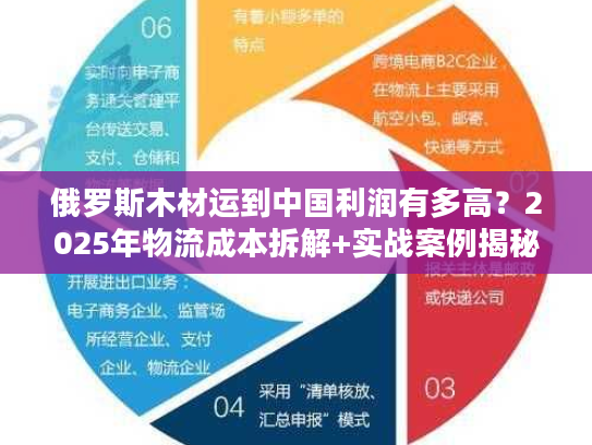 俄罗斯木材运到中国利润有多高？2025年物流成本拆解+实战案例揭秘
