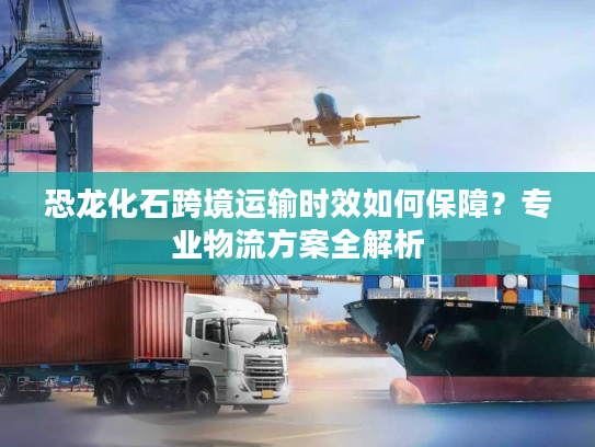 恐龙化石跨境运输时效如何保障？专业物流方案全解析