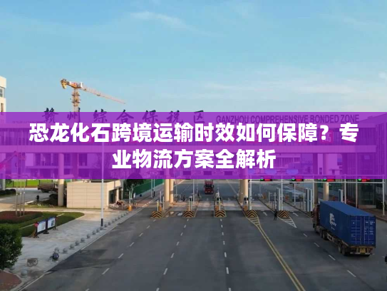 恐龙化石跨境运输时效如何保障？专业物流方案全解析