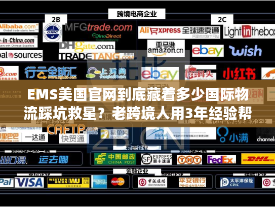 EMS美国官网到底藏着多少国际物流踩坑救星？老跨境人用3年经验帮你挖透