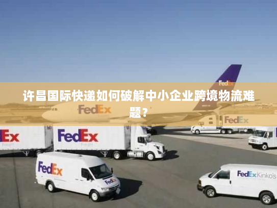 许昌国际快递如何破解中小企业跨境物流难题？