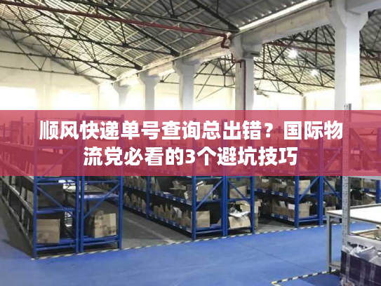 顺风快递单号查询总出错？国际物流党必看的3个避坑技巧