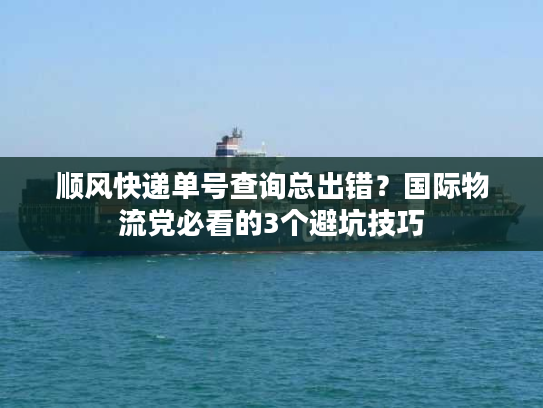 顺风快递单号查询总出错？国际物流党必看的3个避坑技巧