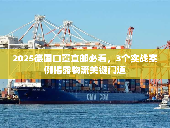 2025德国口罩直邮必看，3个实战案例揭露物流关键门道