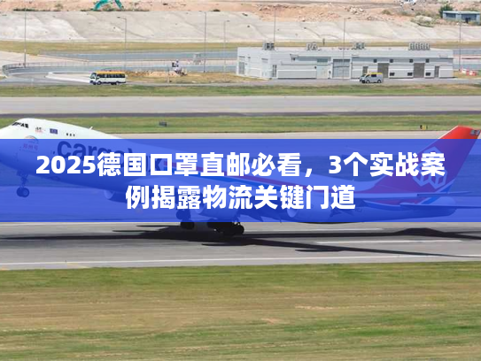 2025德国口罩直邮必看，3个实战案例揭露物流关键门道