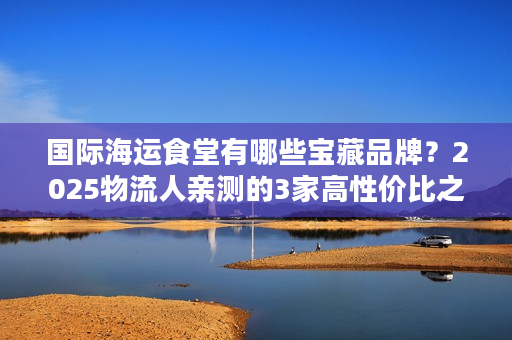 国际海运食堂有哪些宝藏品牌？2025物流人亲测的3家高性价比之选