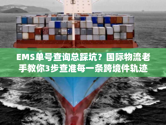 EMS单号查询总踩坑？国际物流老手教你3步查准每一条跨境件轨迹