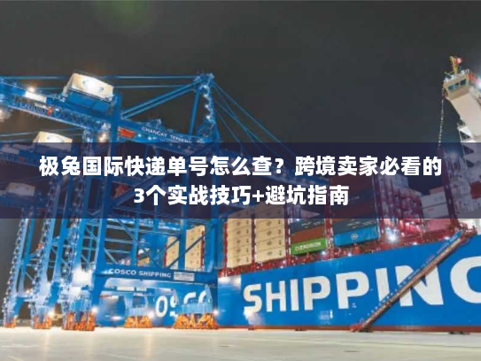 极兔国际快递单号怎么查？跨境卖家必看的3个实战技巧+避坑指南