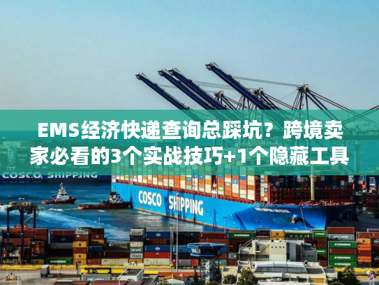 EMS经济快递查询总踩坑?跨境卖家必看的3个实战技巧+1个隐藏工具 EMS经济快递查询总踩坑?跨境卖家必看的3个实战技巧+1个隐藏工具