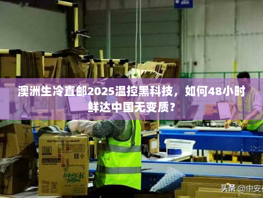 澳洲生冷直邮2025温控黑科技，如何48小时鲜达中国无变质？