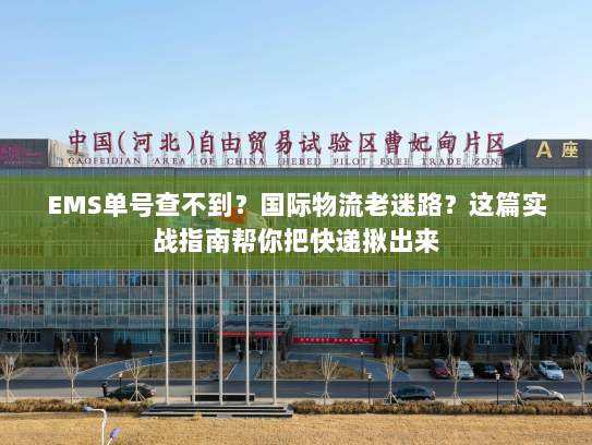 EMS单号查不到？国际物流老迷路？这篇实战指南帮你把快递揪出来