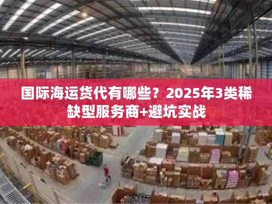 国际海运货代有哪些？2025年3类稀缺型服务商+避坑实战
