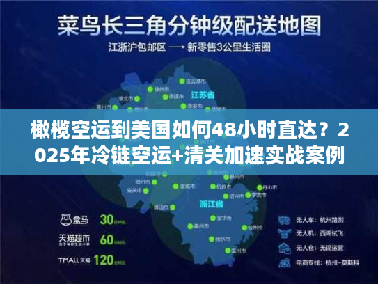 橄榄空运到美国如何48小时直达？2025年冷链空运+清关加速实战案例拆解