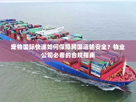 宠物国际快递如何保障跨国运输安全？物业公司必看的合规指南