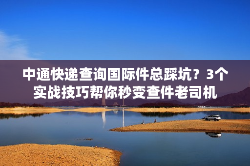 中通快递查询国际件总踩坑？3个实战技巧帮你秒变查件老司机