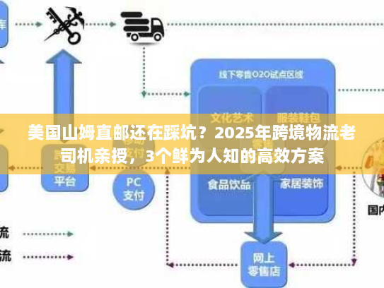 美国山姆直邮还在踩坑？2025年跨境物流老司机亲授，3个鲜为人知的高效方案