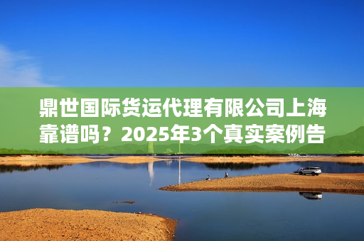 鼎世国际货运代理有限公司上海靠谱吗？2025年3个真实案例告诉你答案！