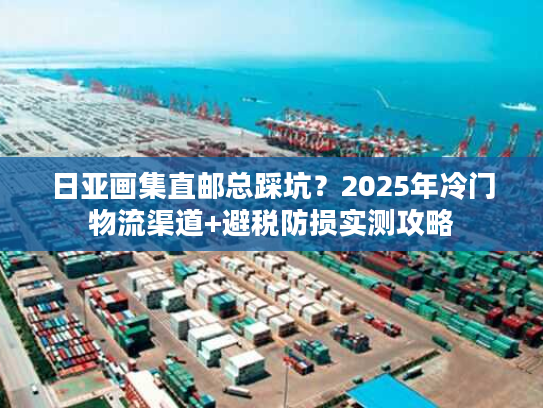日亚画集直邮总踩坑？2025年冷门物流渠道+避税防损实测攻略