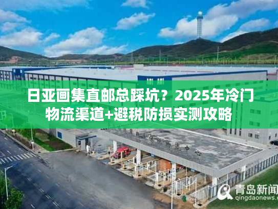 日亚画集直邮总踩坑？2025年冷门物流渠道+避税防损实测攻略