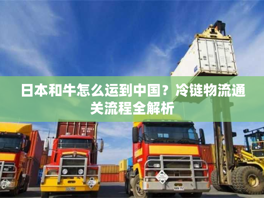 日本和牛怎么运到中国?冷链物流通关流程全解析 日本和牛怎么运到中国?冷链物流通关流程全解析