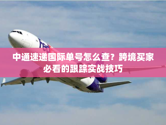 中通速递国际单号怎么查?跨境买家必看的跟踪实战技巧 中通速递国际单号怎么查?跨境买家必看的跟踪实战技巧