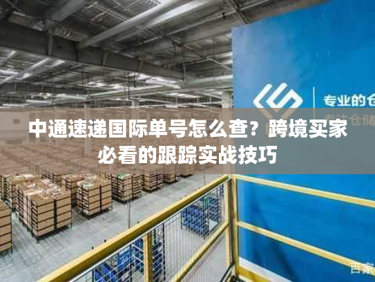 中通速递国际单号怎么查?跨境买家必看的跟踪实战技巧 中通速递国际单号怎么查?跨境买家必看的跟踪实战技巧
