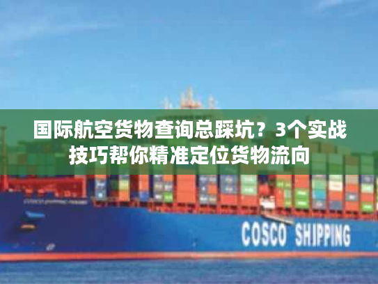 国际航空货物查询总踩坑？3个实战技巧帮你精准定位货物流向