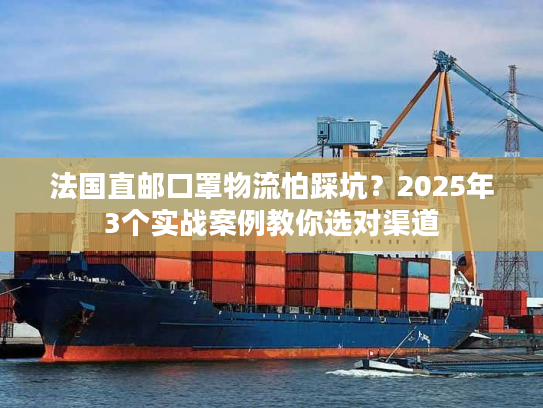 法国直邮口罩物流怕踩坑？2025年3个实战案例教你选对渠道