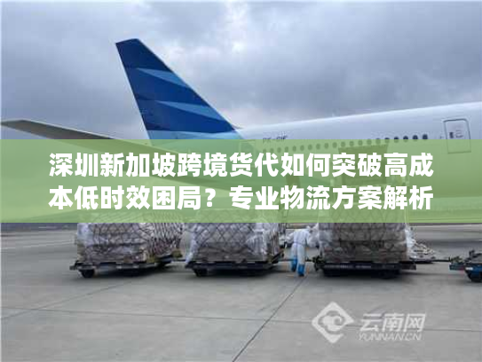 深圳新加坡跨境货代如何突破高成本低时效困局？专业物流方案解析