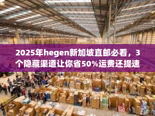 2025年hegen新加坡直邮必看，3个隐藏渠道让你省50%运费还提速？