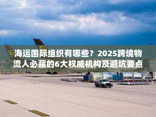 海运国际组织有哪些？2025跨境物流人必藏的6大权威机构及避坑要点